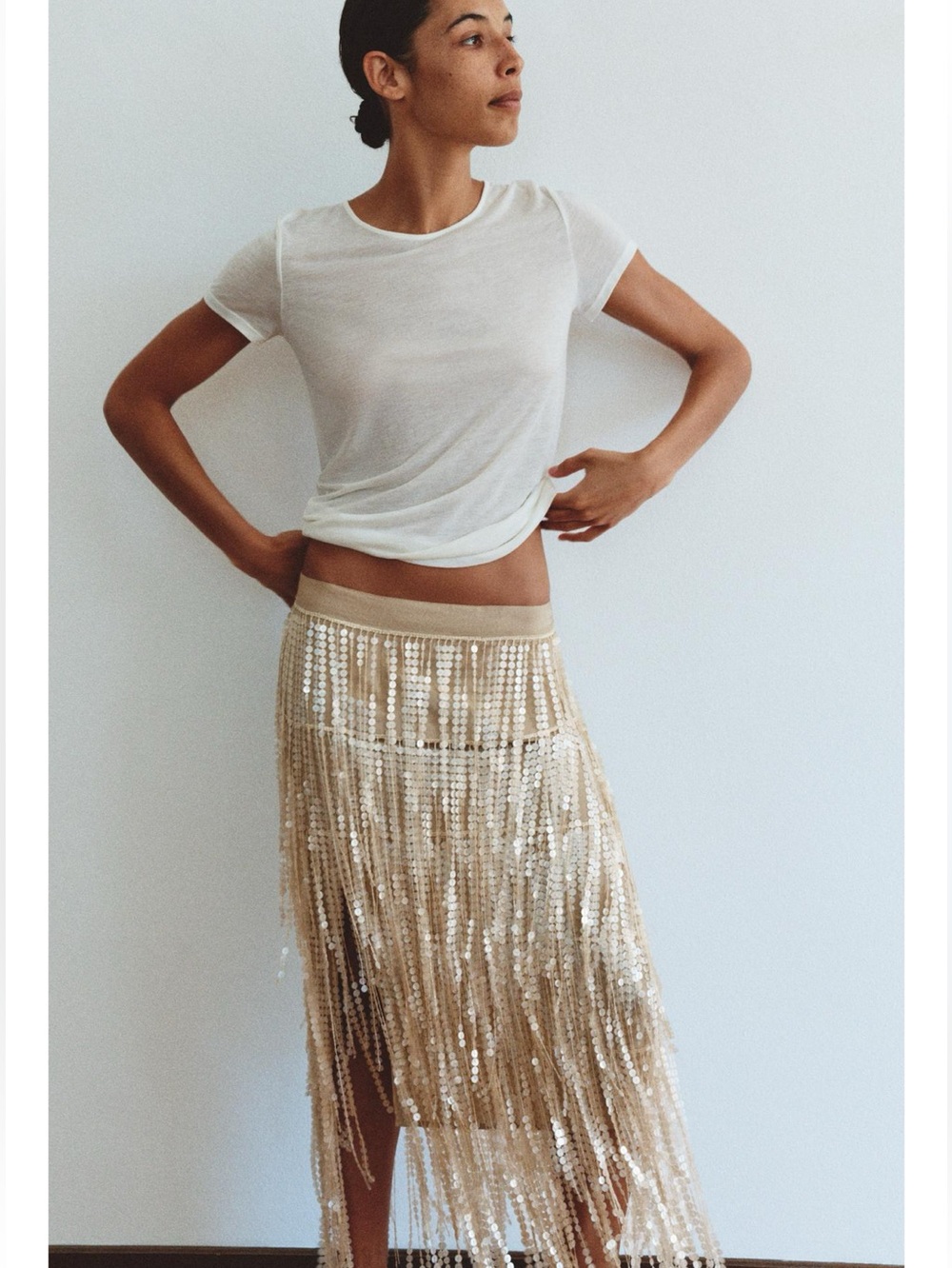 Zara SEQUIN FRINGE MIDI SKIRT - Picture 11 of 12